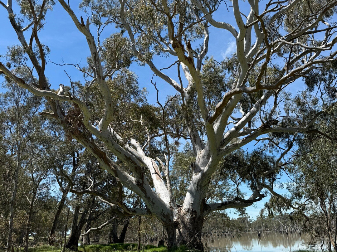 Mullinger Swamp-Kybybolite必去景点