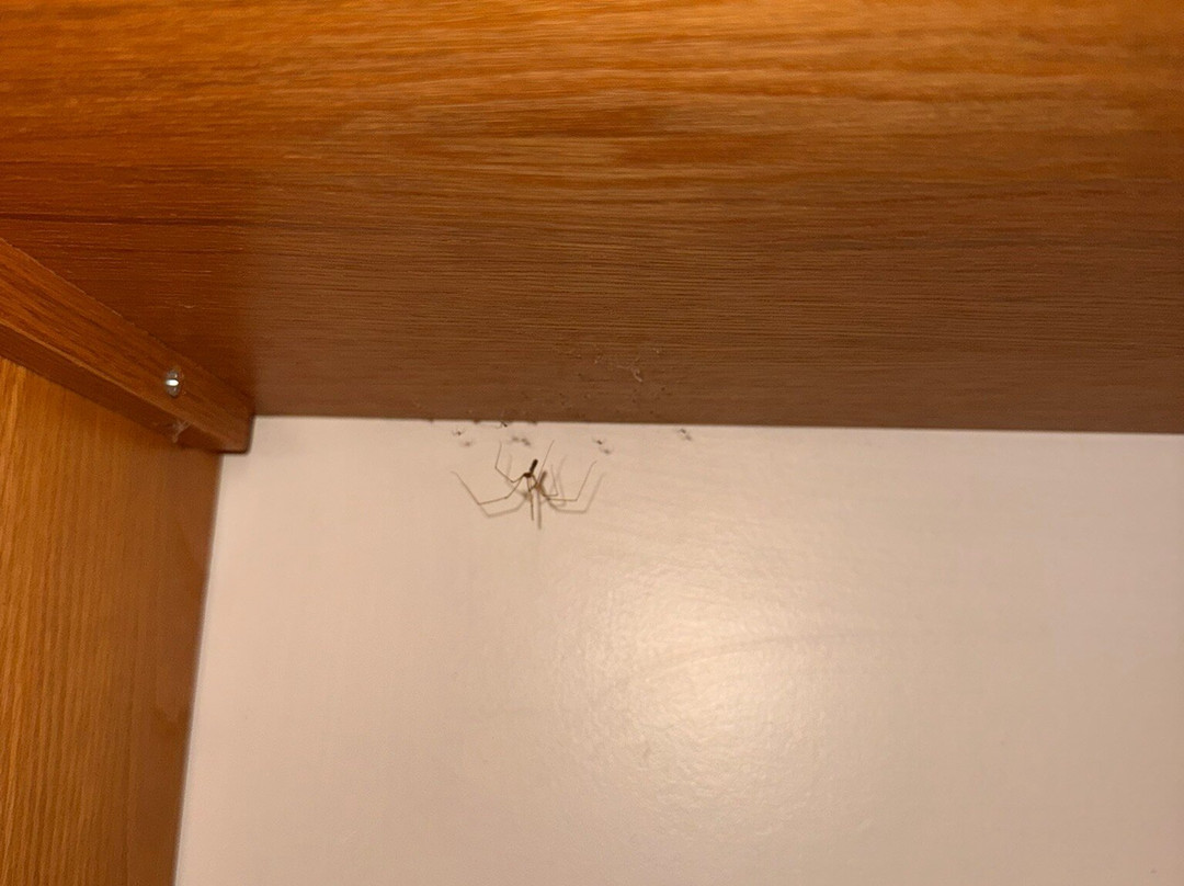 Travelodge Reading M4 Eastbound主图