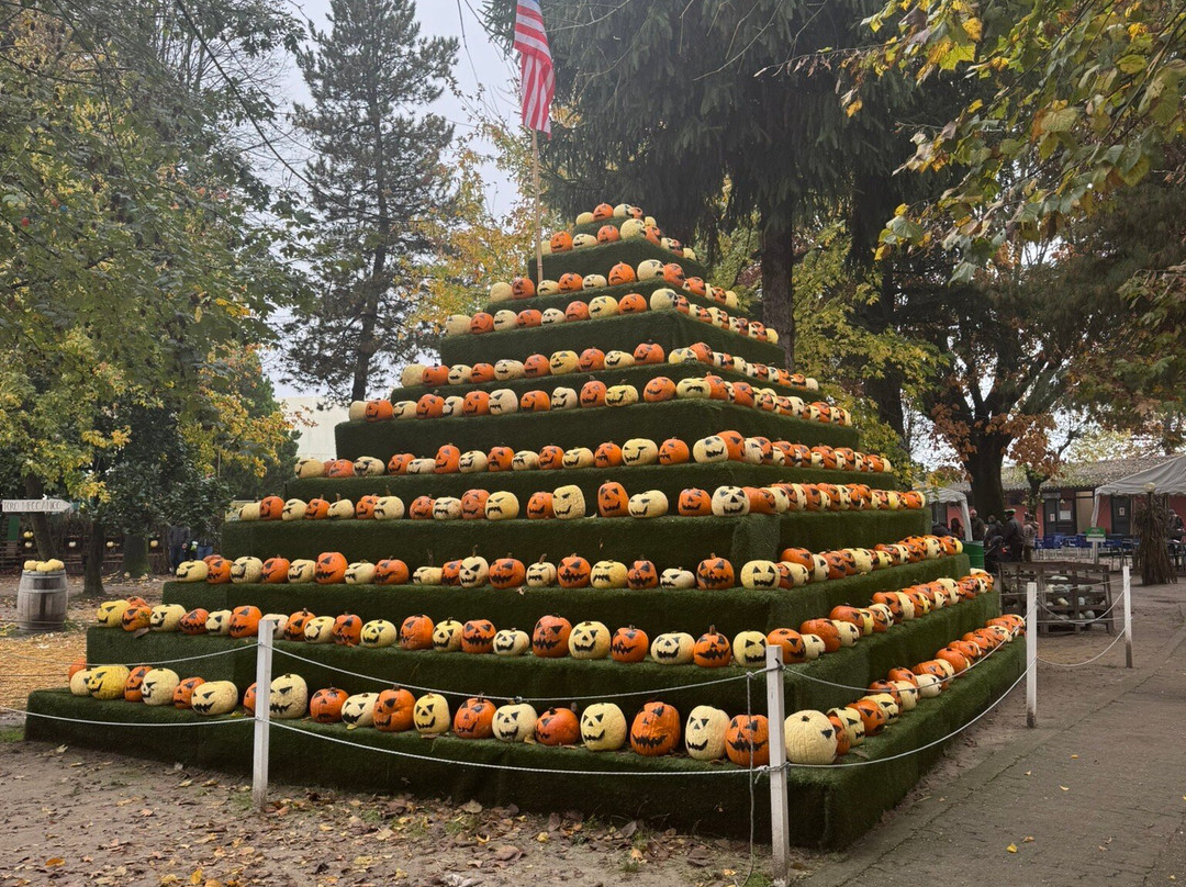 Il Villaggio Delle Zucche-San Martino Siccomario必去景点