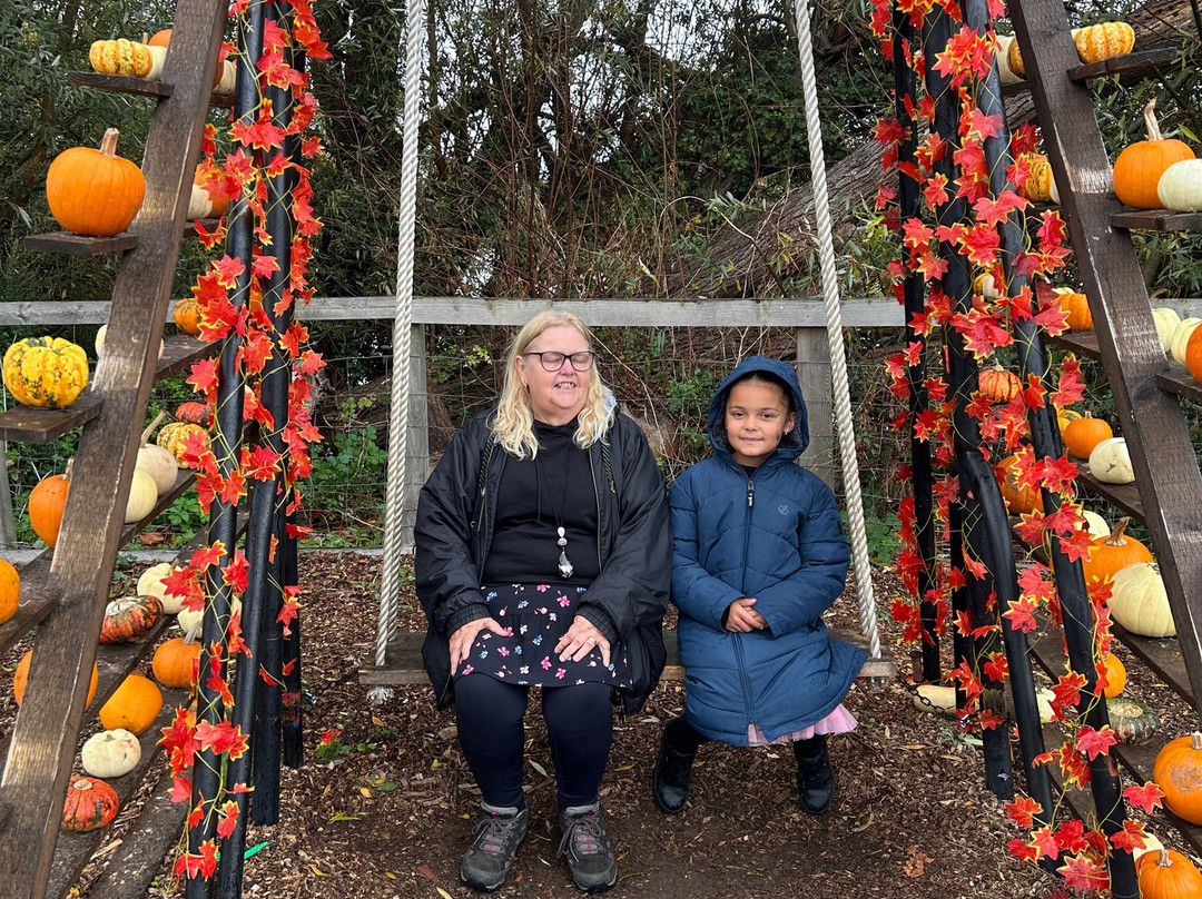 Hasty's Adventure Farm-滨海克拉克顿必去景点