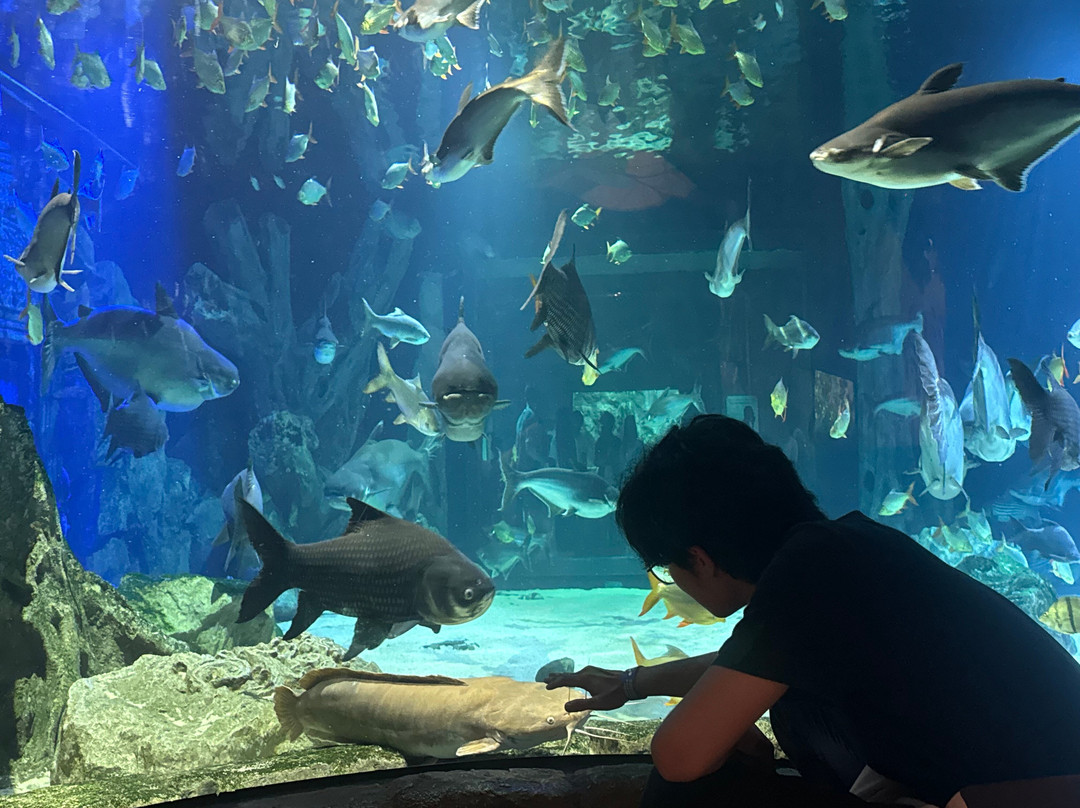 Angkor Wildlife & Aquarium-暹粒必去景点