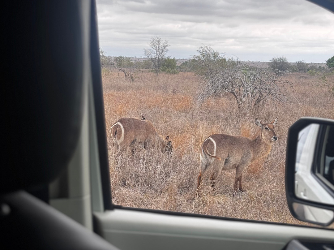 GAP Tours & Transfers-雾观必去景点
