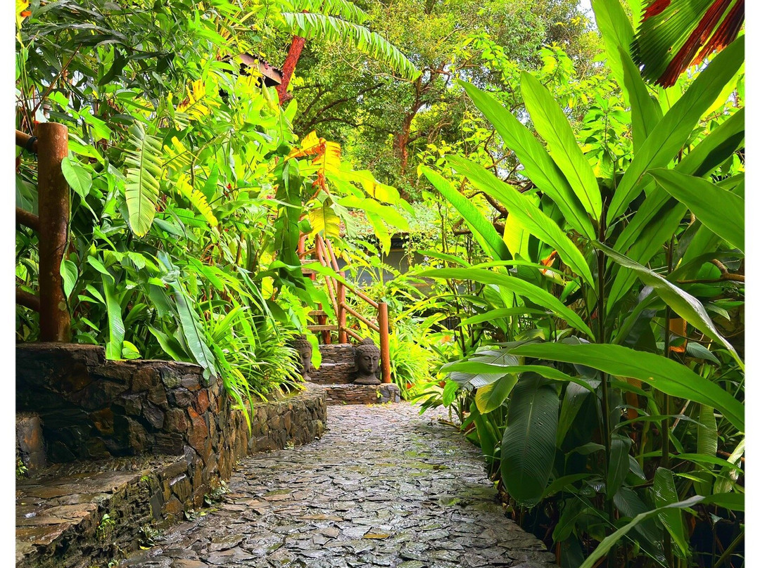 Amaala Spa & Wellness-中央海滩必去景点