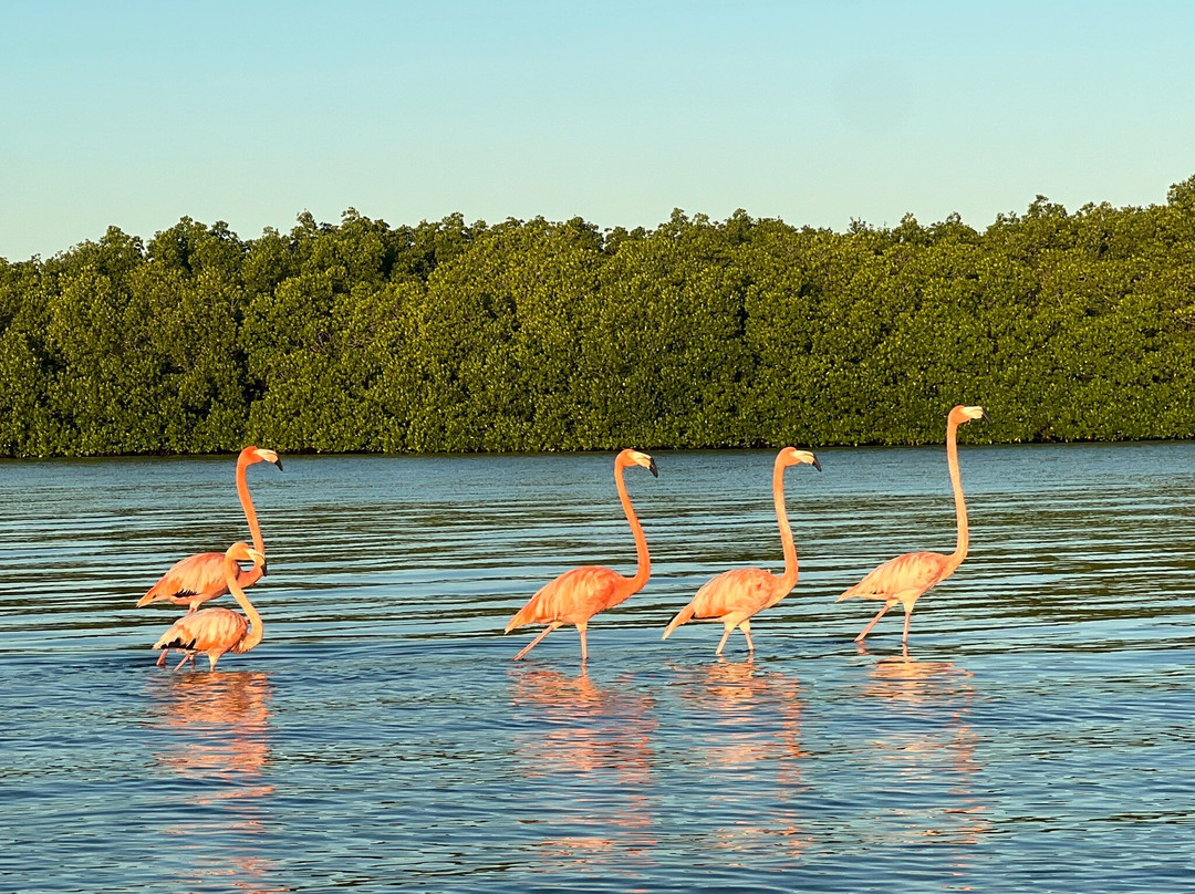 Parque Natural Ria Lagartos-里奥拉加托斯必去景点
