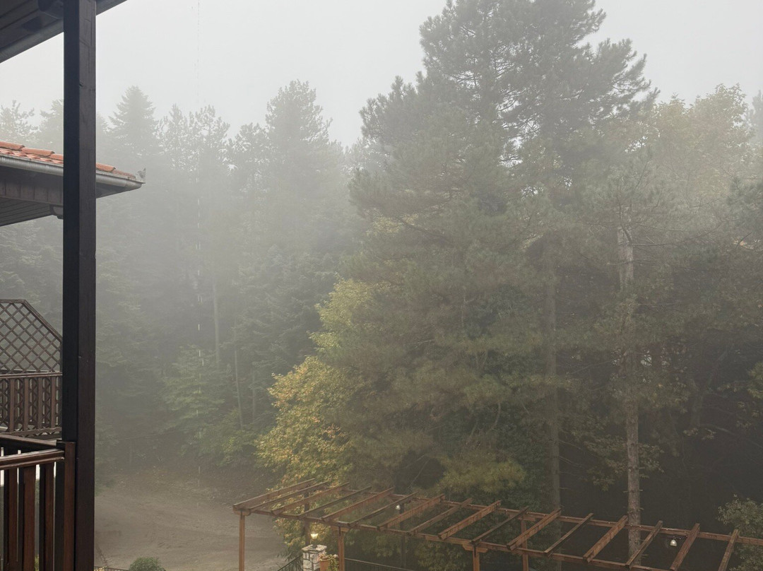 Giamandes Hotel主图