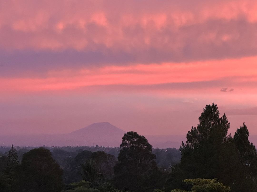 Depary Adventure Sumatra Tours-Binjai必去景点