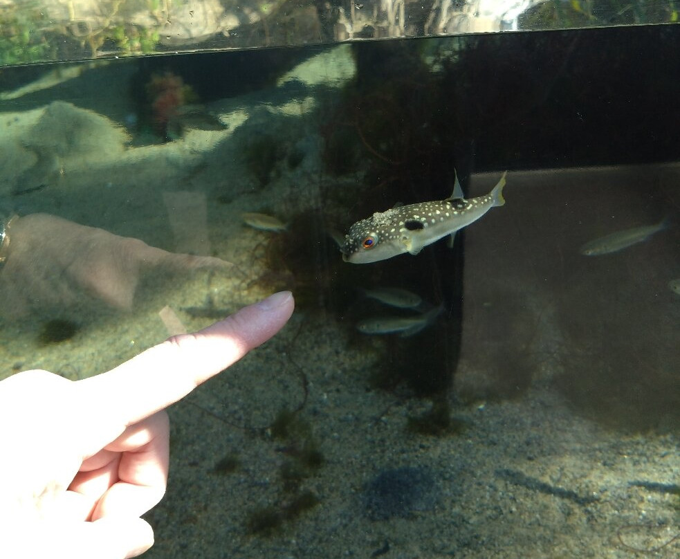 福岛水族馆-盘城市必去景点