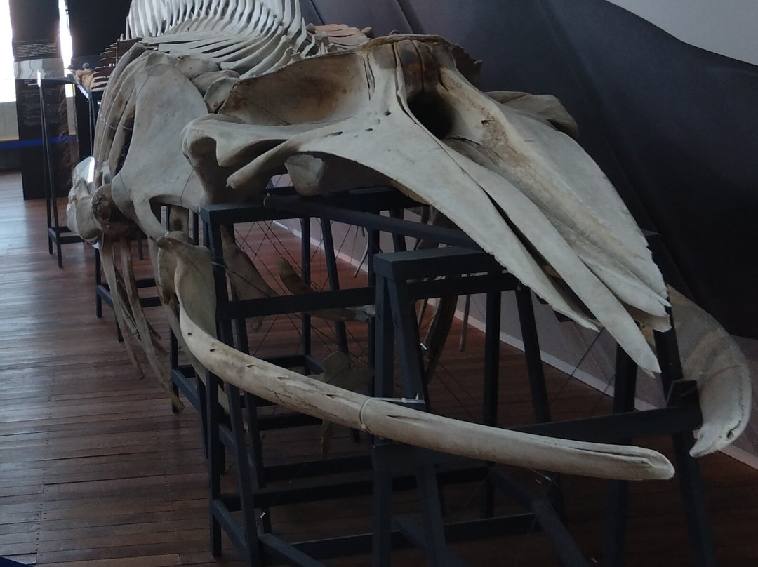 福岛水族馆-盘城市必去景点