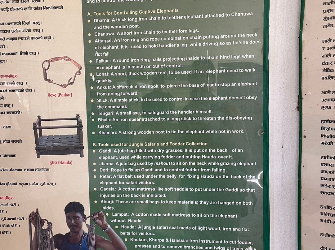 Elephant Breeding Centre-苏拉哈必去景点