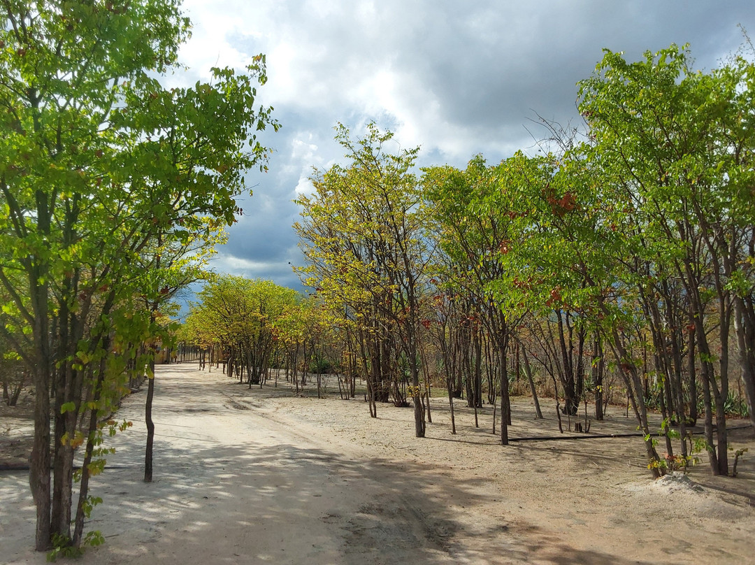 Kuminda Farm-Francistown必去景点