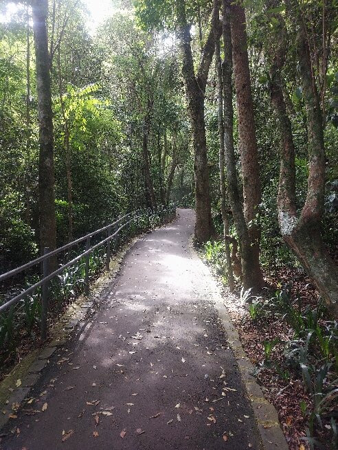 Bosque Alemão-库里提巴必去景点