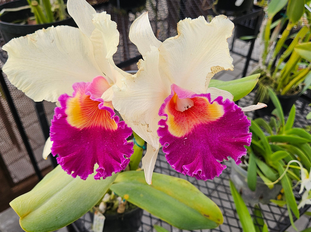 Alma del Bosque-La Ceja必去景点