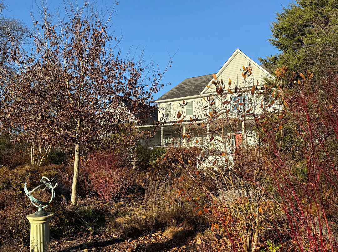 Sundogs Bed and Breakfast主图