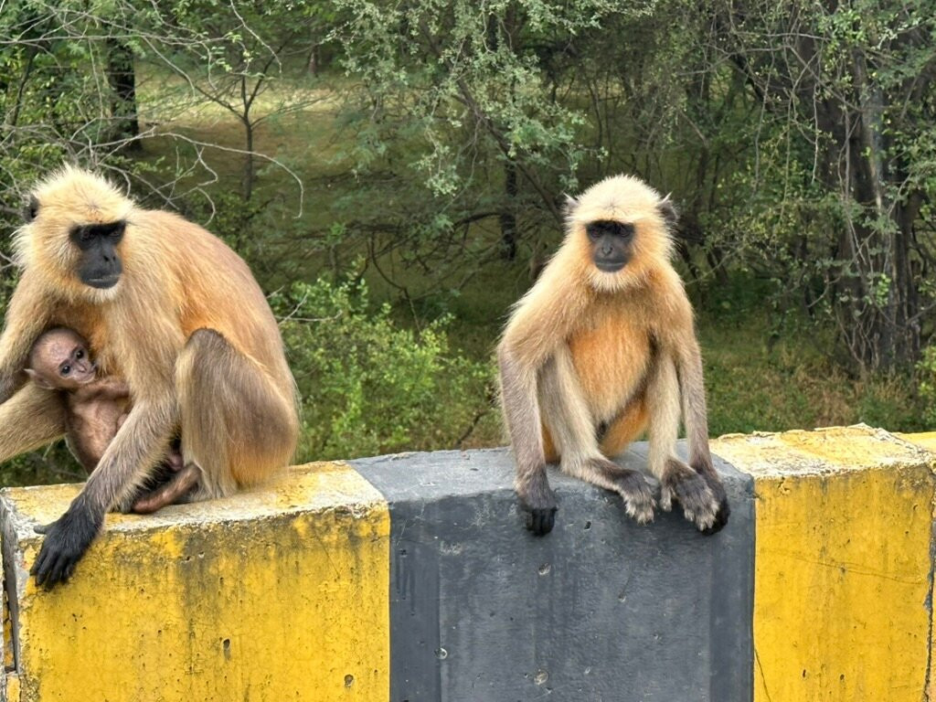 D.K. Car and Driver India-阿格拉必去景点