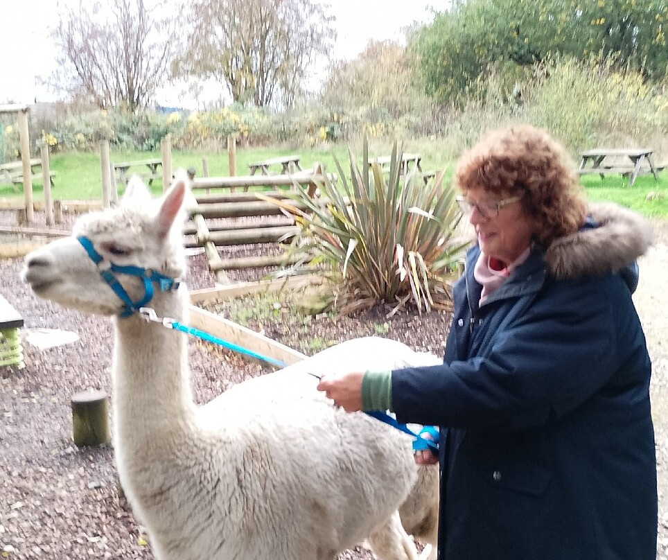 Willow Tree Family Farm-Shirebrook必去景点