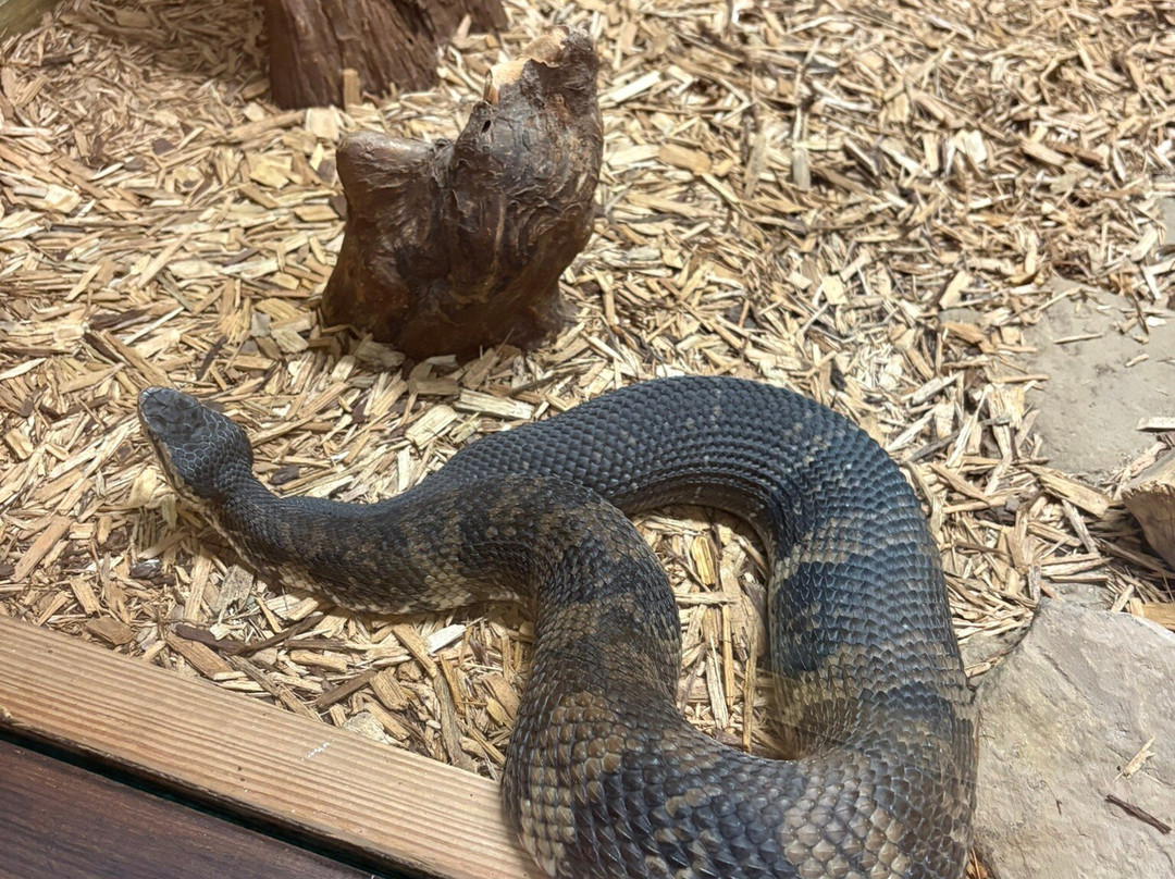 Cyprus Gardens-蒙克斯科纳必去景点