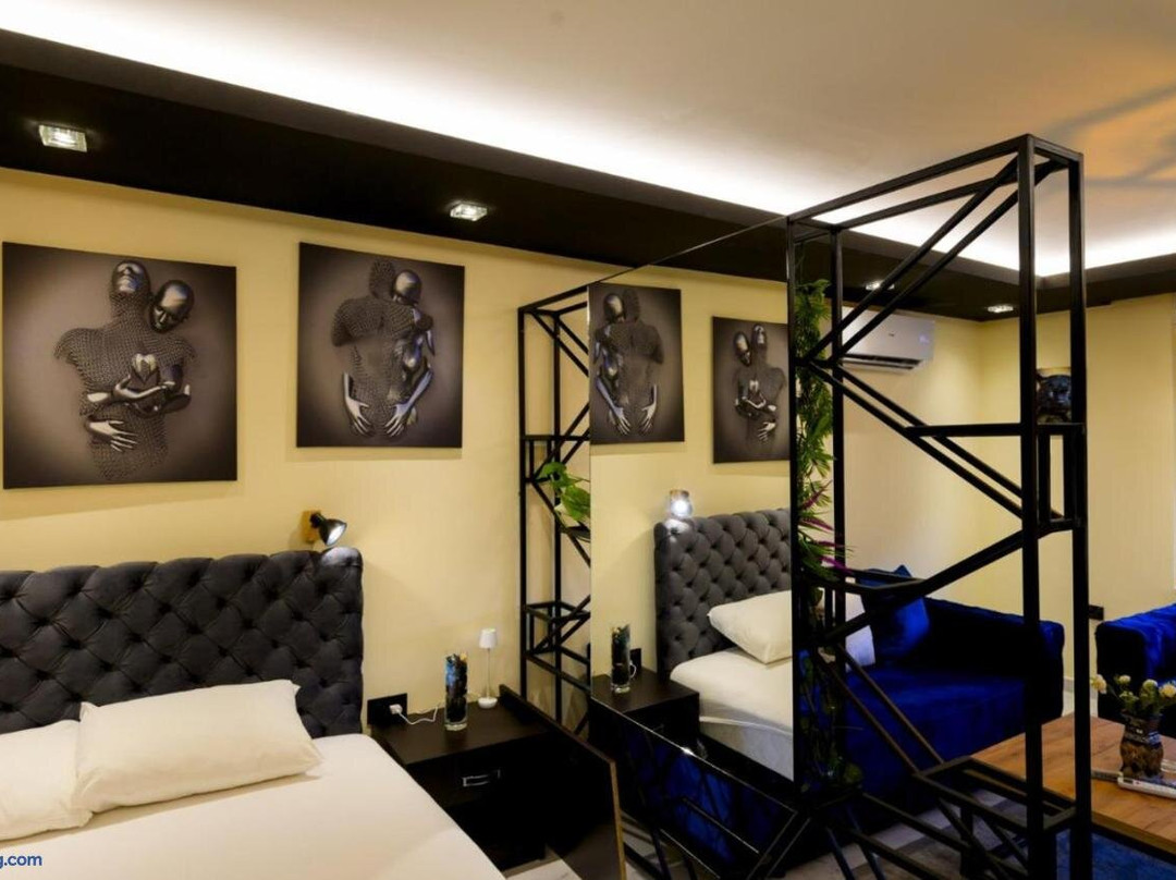 Guest House Vila Salute主图