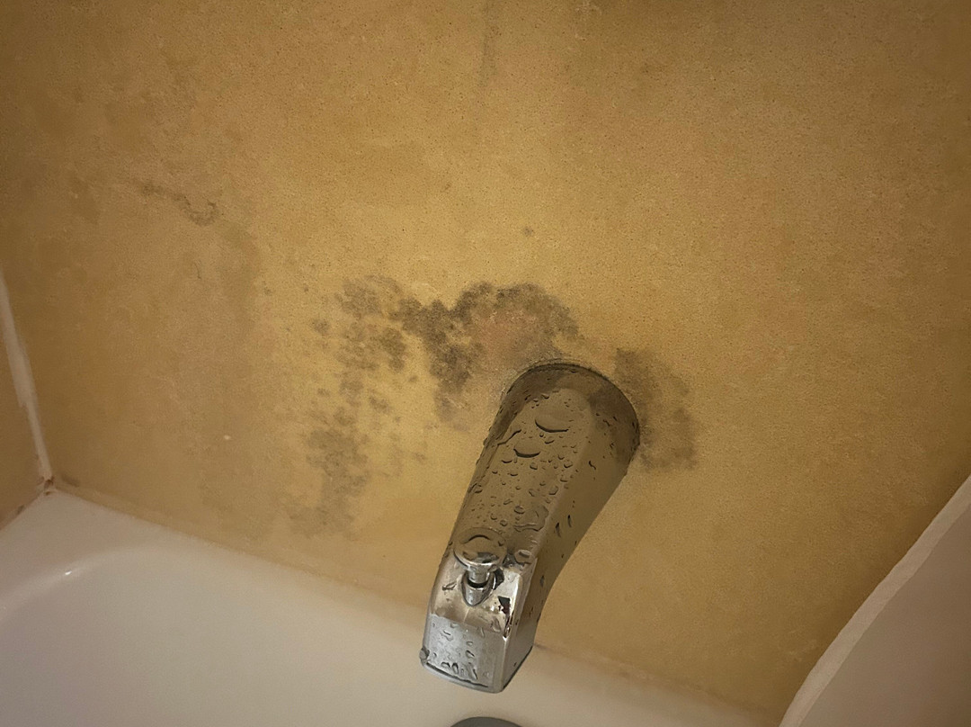 Hampton Inn & Suites Columbia at University主图