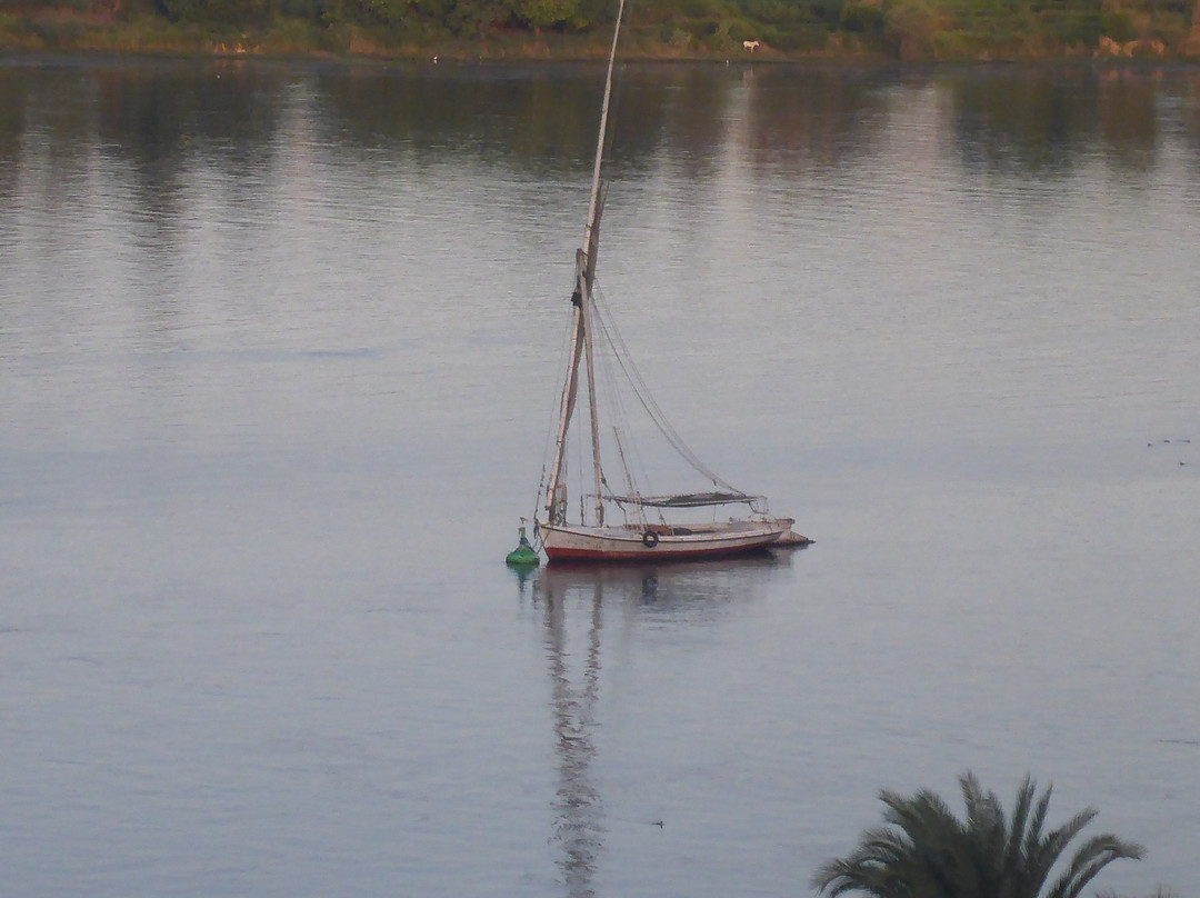 Tolip Aswan Hotel主图