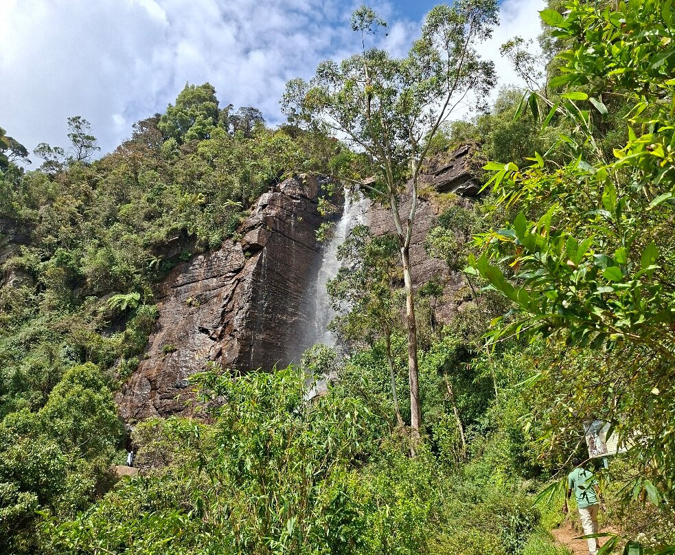 Lover's Leap Falls-奴娃拉伊利雅必去景点