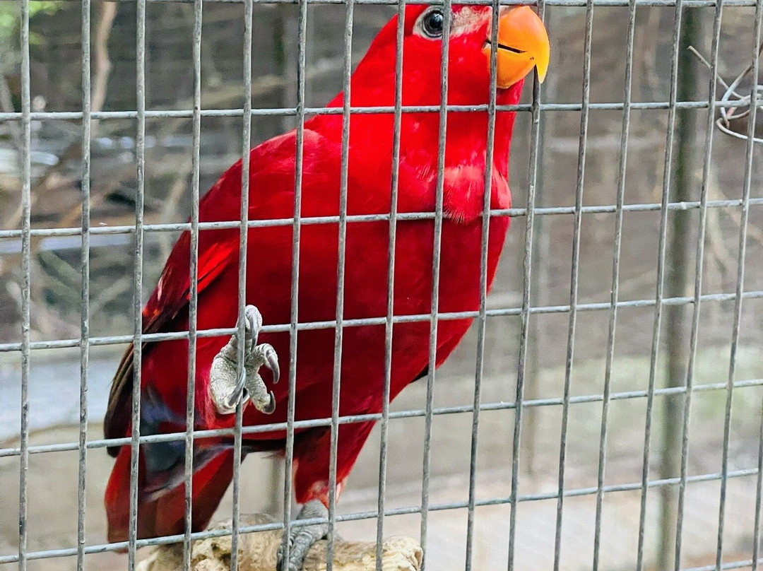 Water World Lanka-凯拉尼亚必去景点