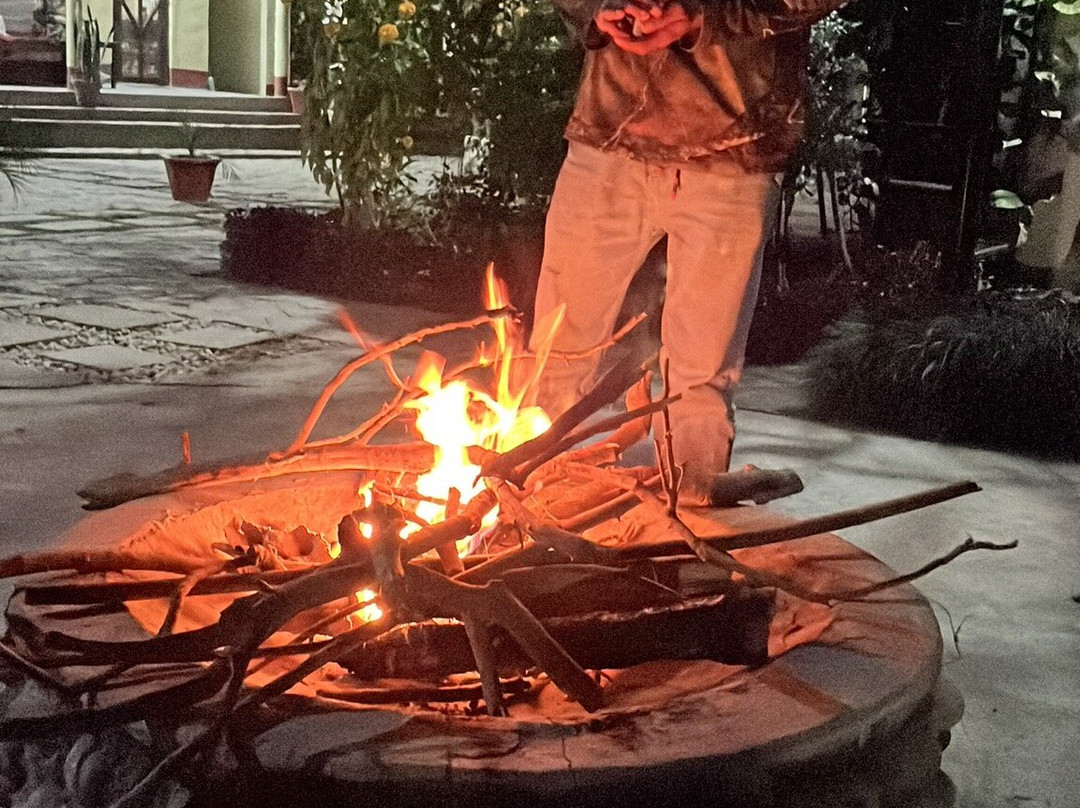 Bardia Homestay主图