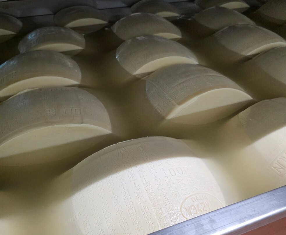 Caseificio Bio Reggiani-Recovato必去景点