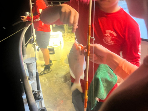 Fishing Headquarters-劳德代尔堡必去景点