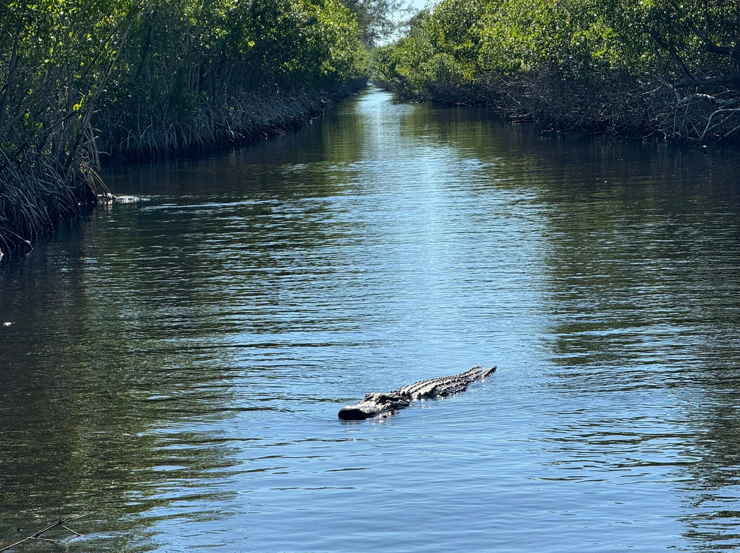 Captain Jack's Airboat Tours-大沼泽地必去景点