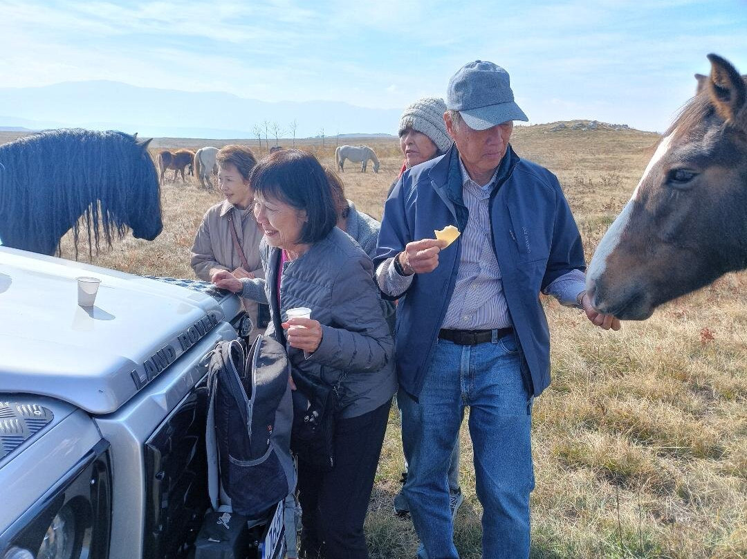 Livno Wild Horses Adventure Tours-Livno必去景点