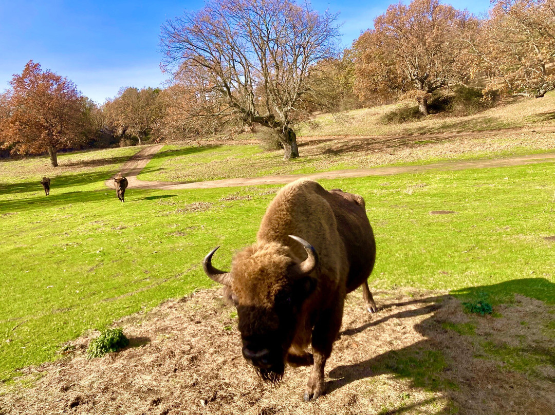 Paleolitico Vivo-布尔戈斯省必去景点