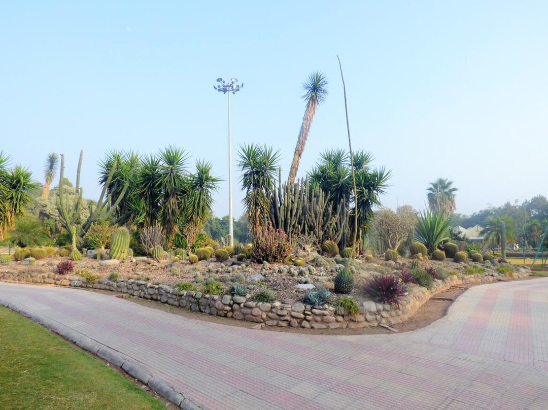 Sarkaria Cactus Garden-Panchkula必去景点