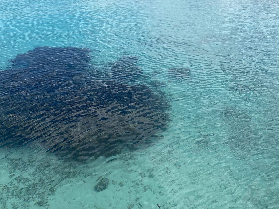 Pension Paparara主图