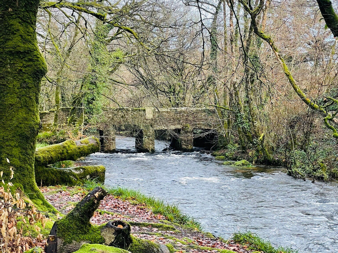 Golitha Falls-利斯卡德必去景点