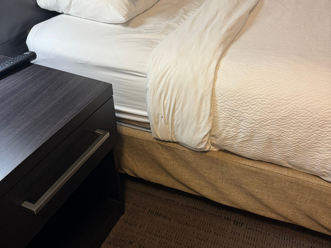 Residence Inn by Marriott Minneapolis St. Paul/Eagan主图