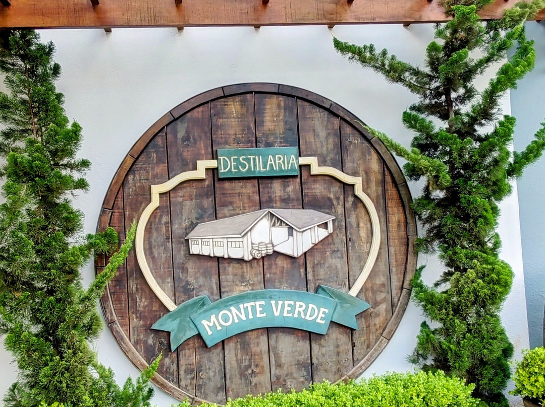 Destilaria Monte Verde