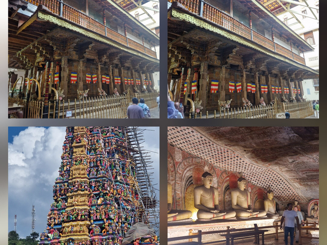 Dan Lanka Tours-科伦坡必去景点