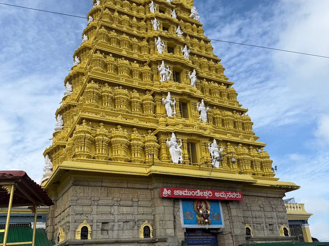 Groowynd Holidays India Pvt Ltd-Sulthan Bathery必去景点