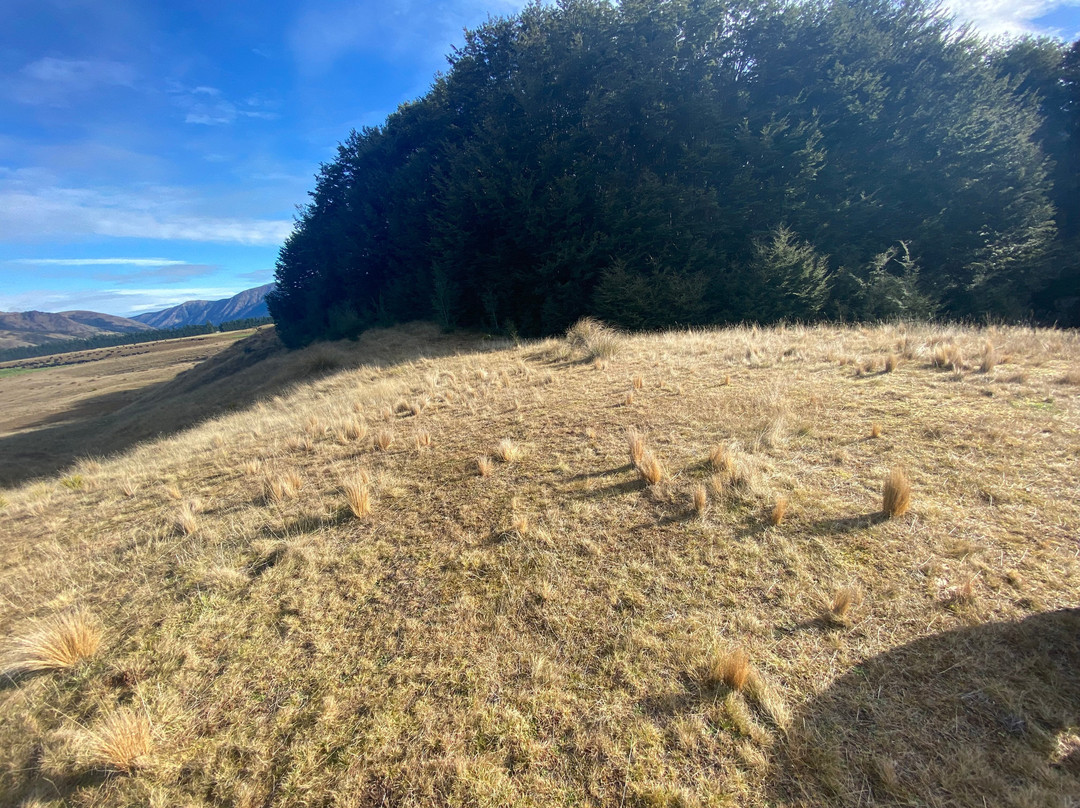Red Carpet Tours-奥克兰中心地区必去景点