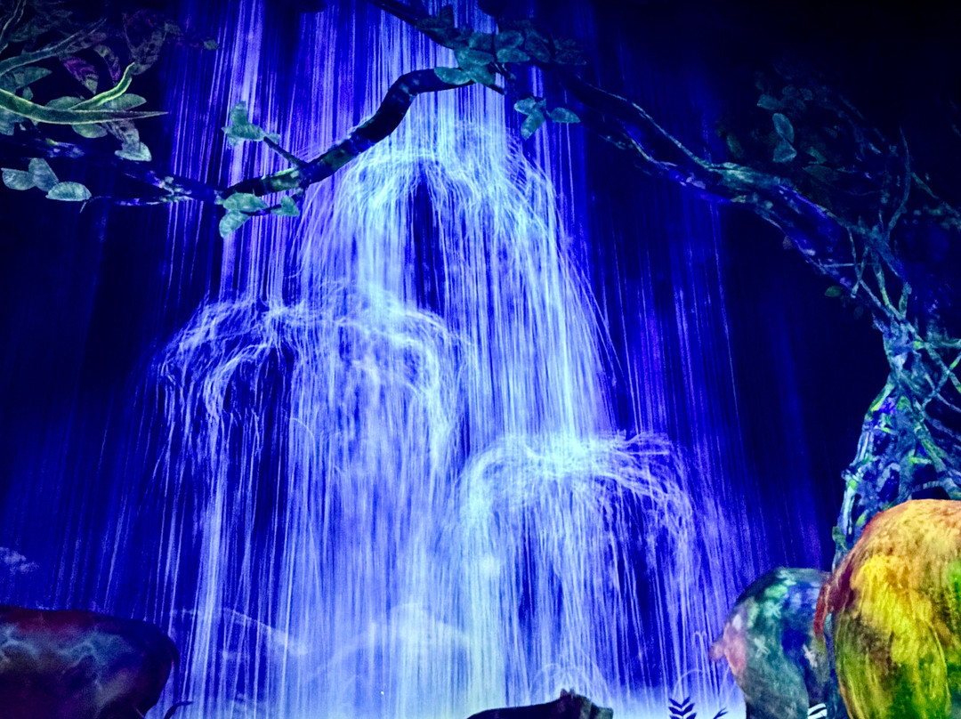 teamLab Planets TOKYO-Toyosu必去景点