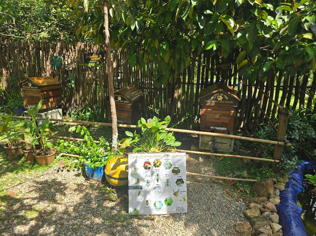 富国岛蜜蜂农场-富国岛必去景点