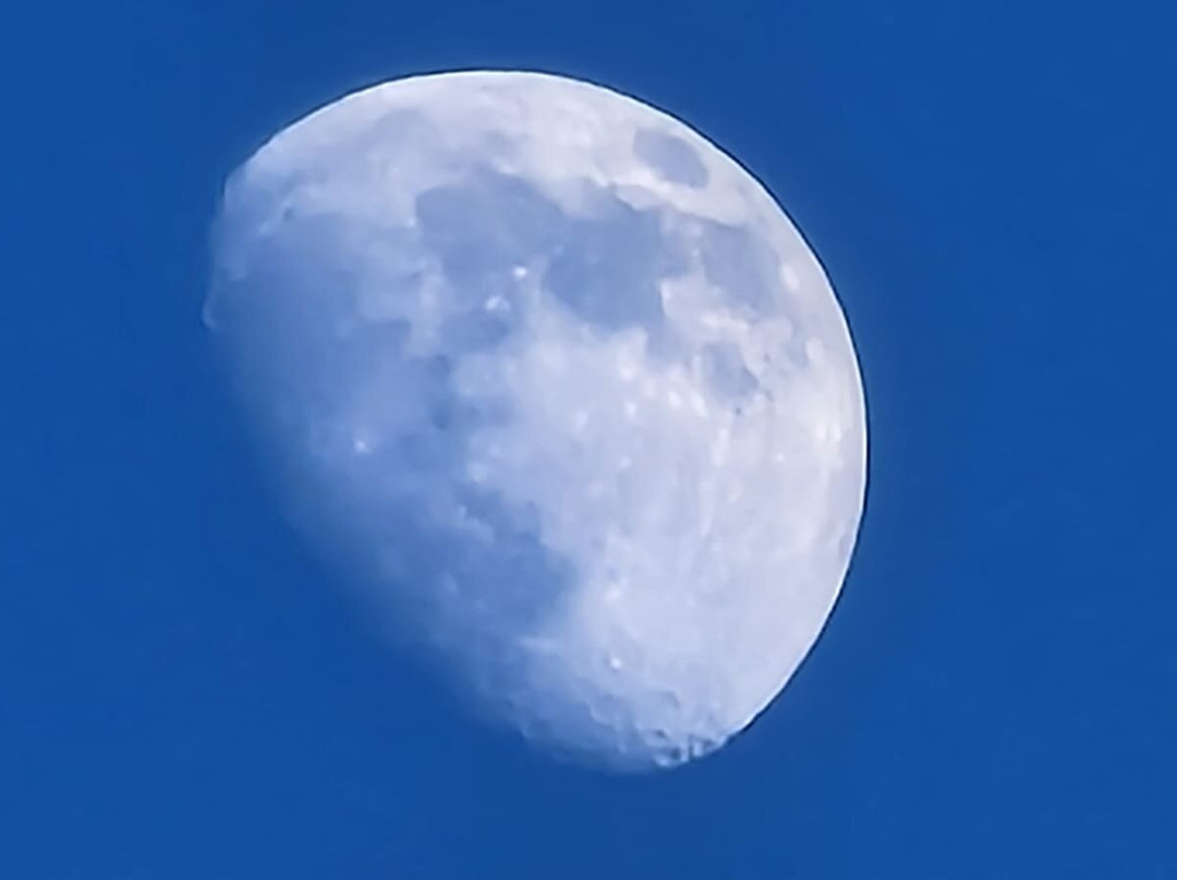 Manasota Key Beach-恩格尔伍德必去景点