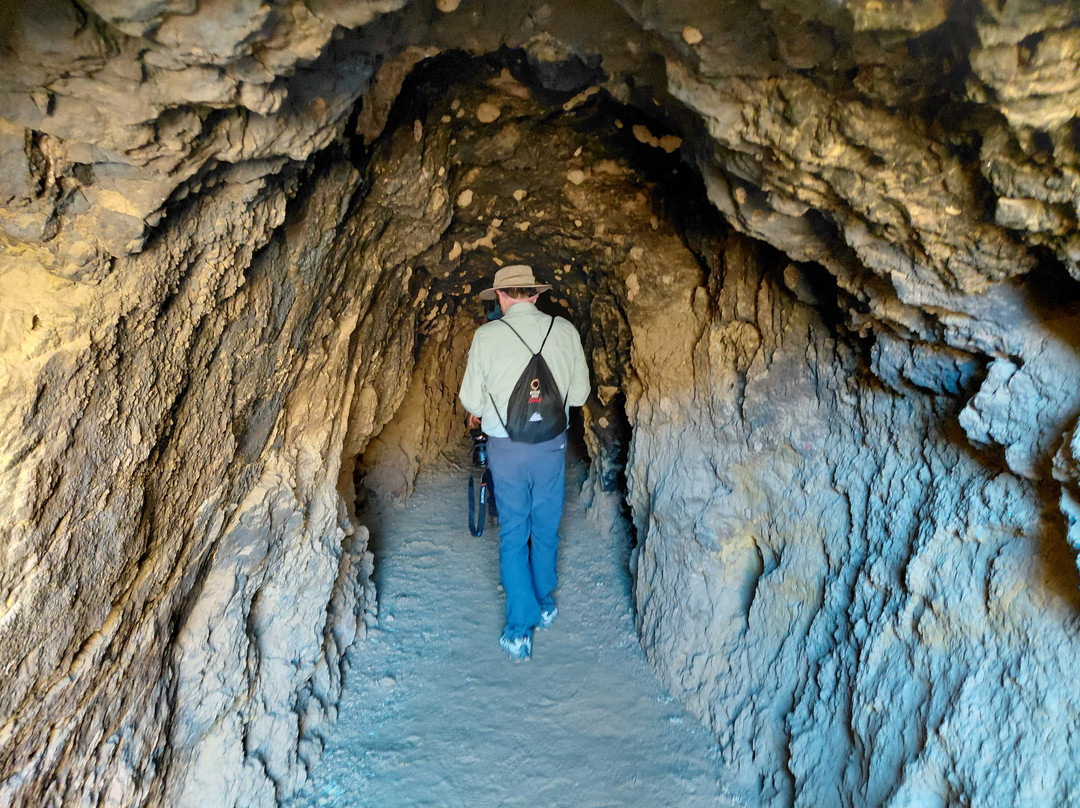 Atlas Geo Tours-Erfoud必去景点