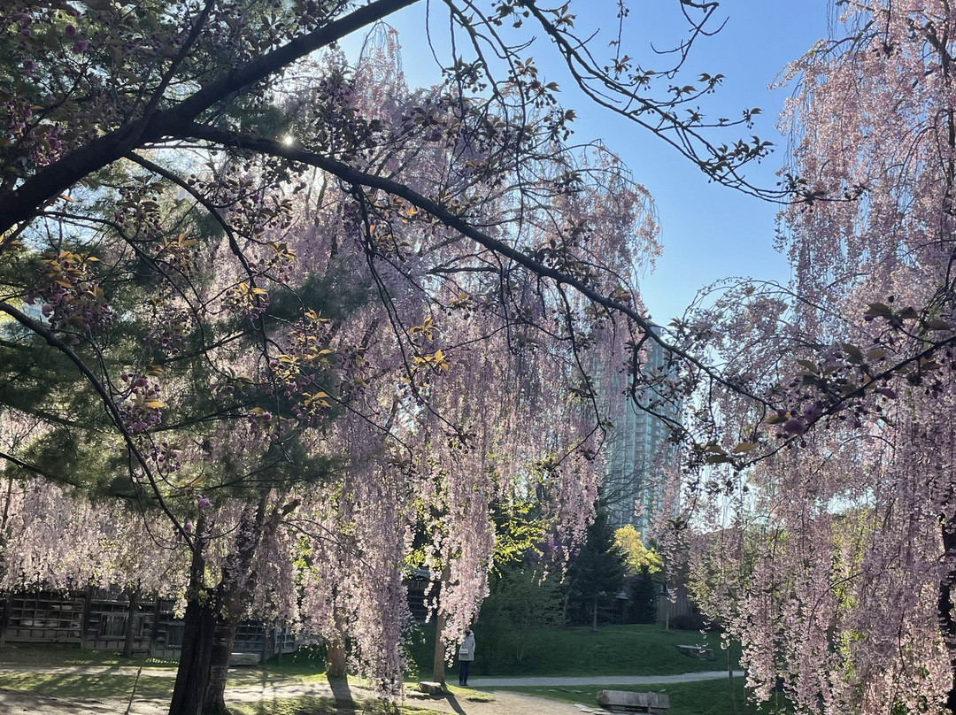 Kariya Park-米西索加必去景点