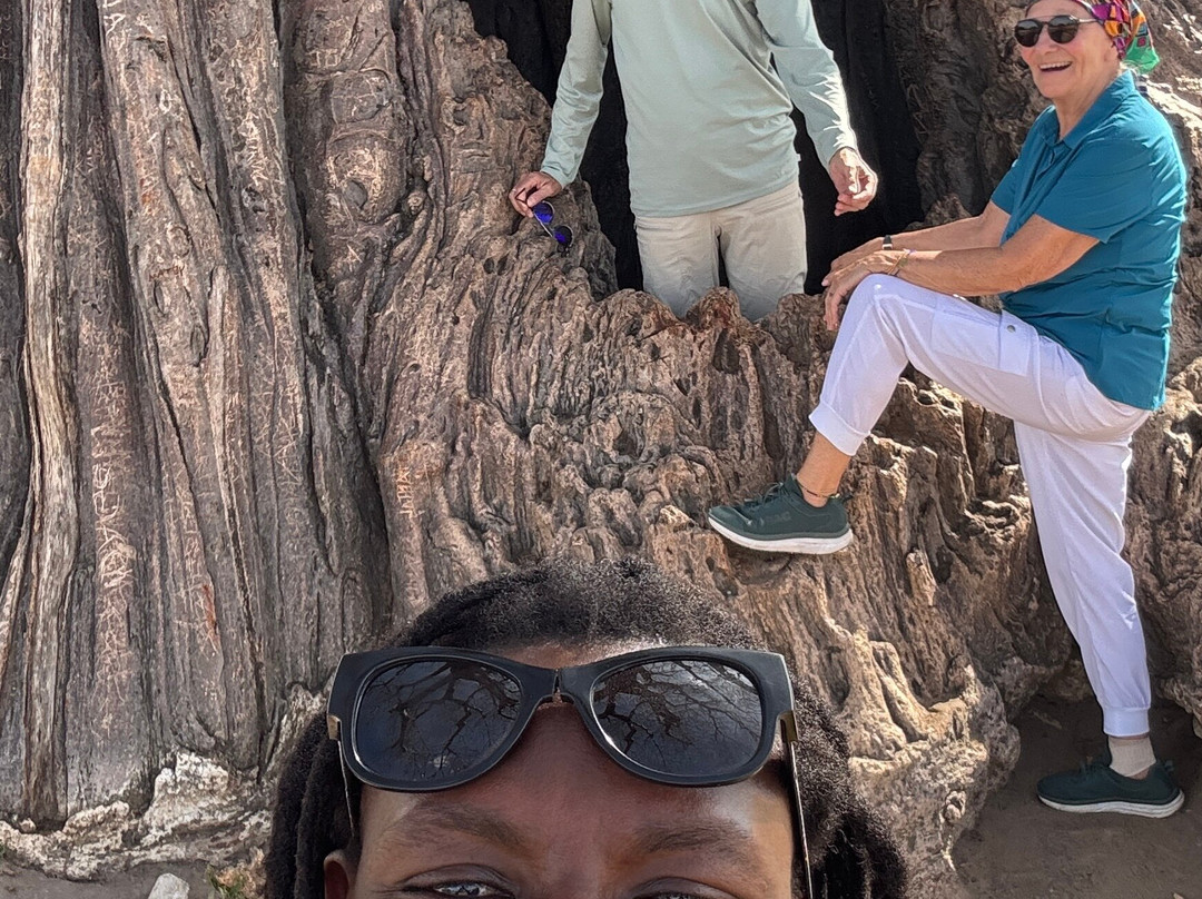 Caracal Tours & Safaris-莫西必去景点