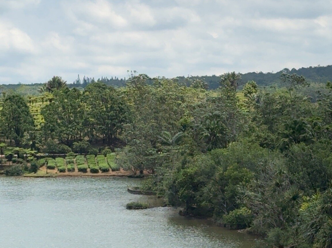 Vishal Taxi Ile Maurice-开普马欧呵必去景点