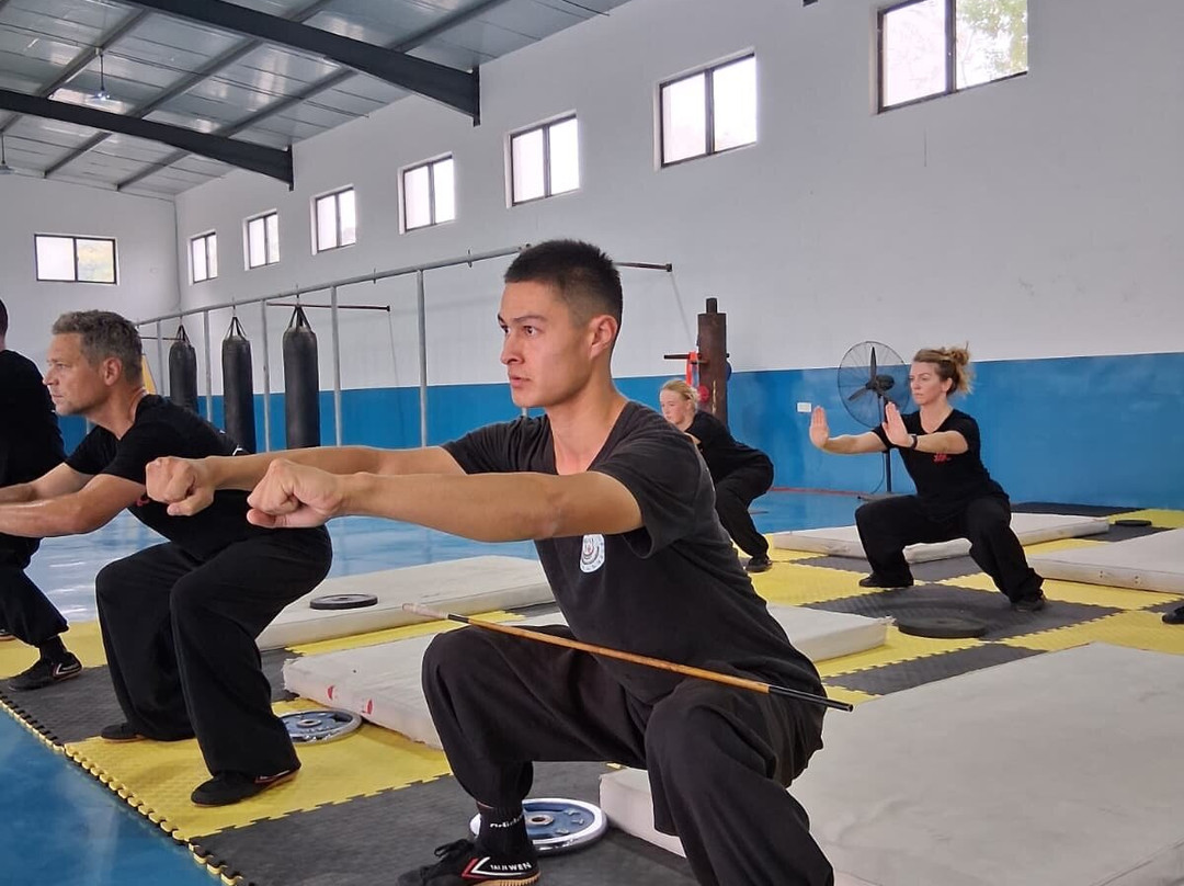 Maling Shaolin Kung Fu Academy-新沂市必去景点