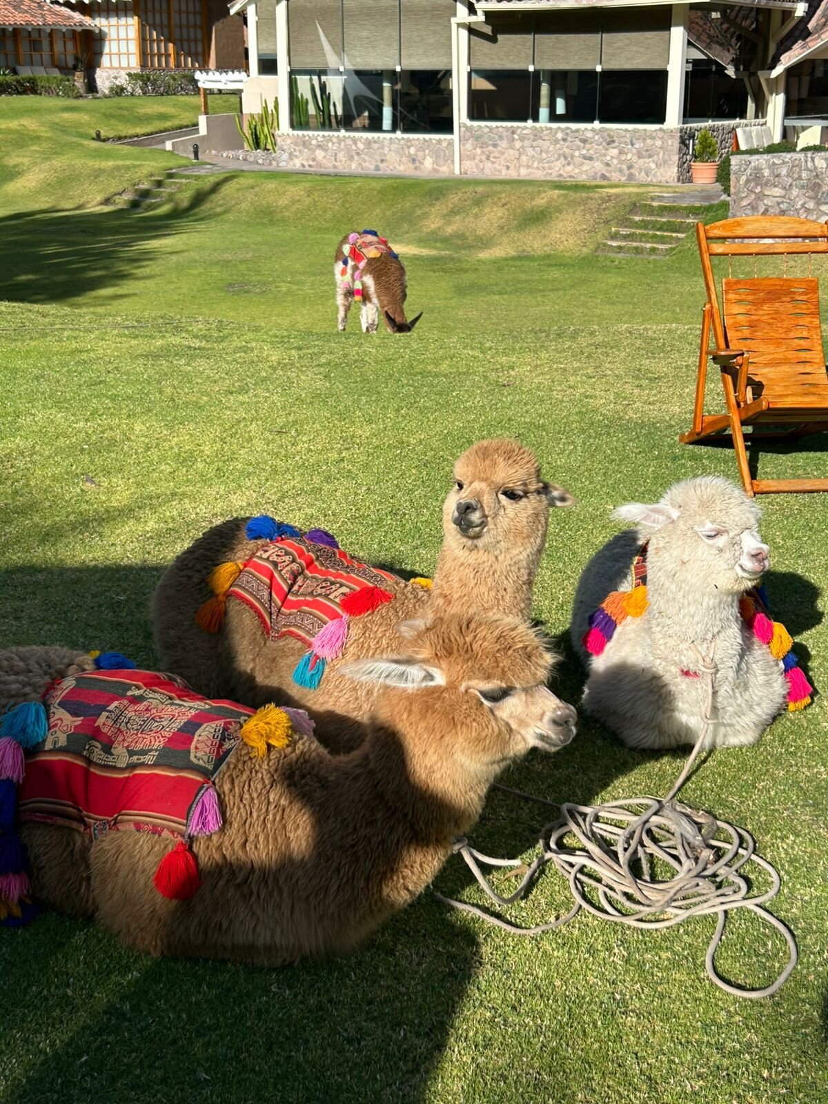 Casa Andina Premium Valle Sagrado Hotel & Villas-家庭/游戏区