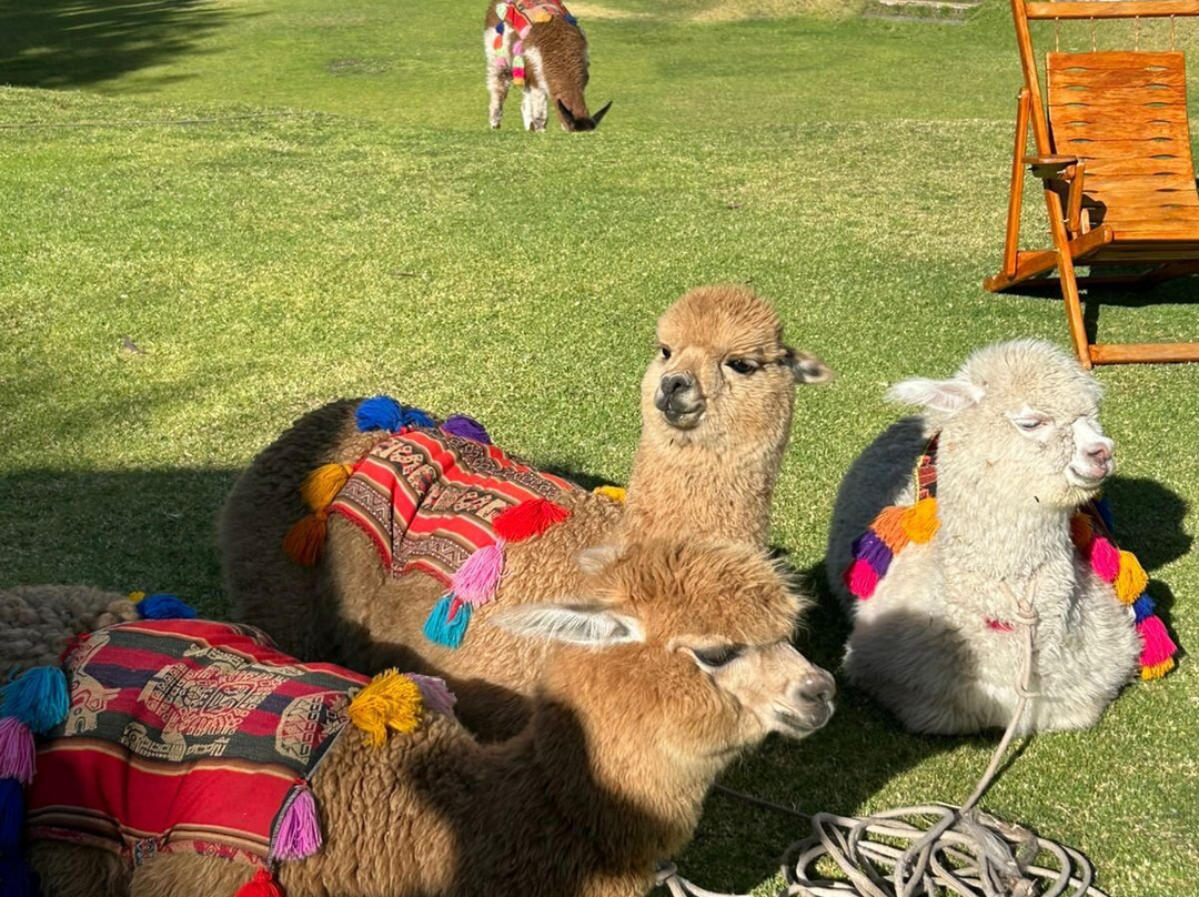 Casa Andina Premium Valle Sagrado Hotel & Villas主图