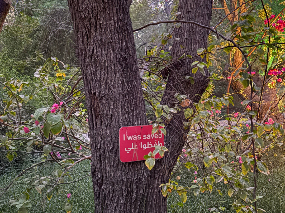 Al Noor Island-沙迦必去景点